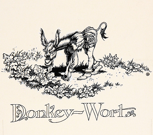 Donkey-Wort