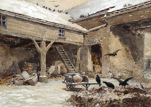 Rooks In a Snowy Courtyard