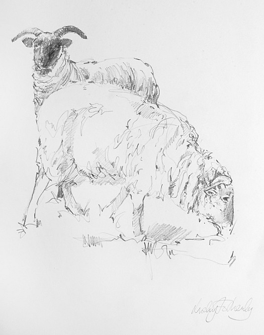 Two Sheep &ndash; Wimpole