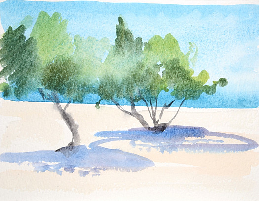 Trees at Elafonisi