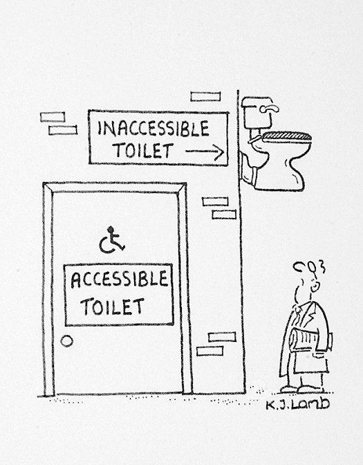 Inaccessible Toilet