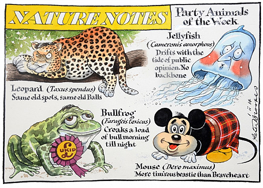 Nature NotesParty Animals of the Week