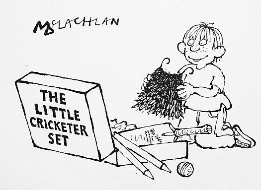 The Little Cricketer Set