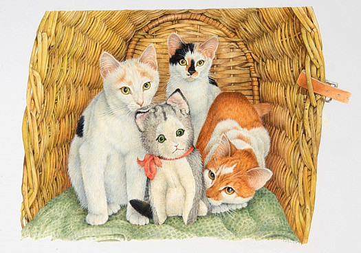 Snowdrop, Daisy and Samphire3 Devon Kittens