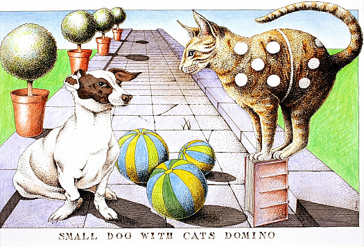 Small Dog with Cats Domino
