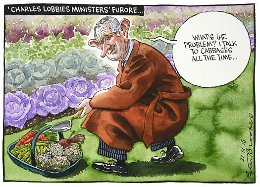 'Charles Lobbies Ministers' Furore