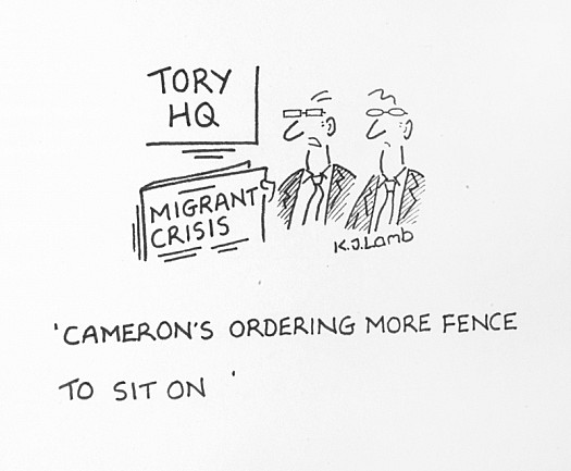 Cameron's Ordering More Fence to Sit On