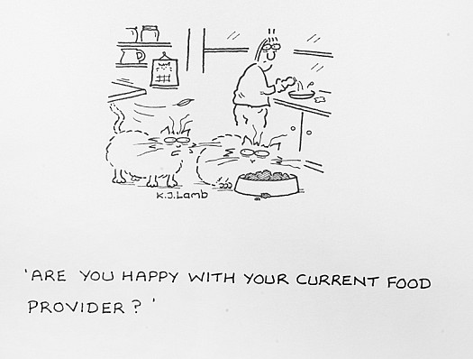 Are You Happy with Your Current Food Provider?