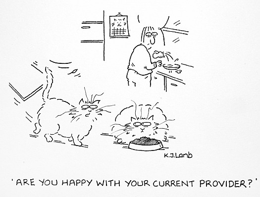Are You Happy with Your Current Provider?