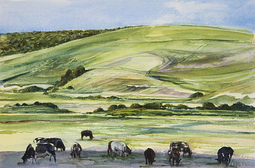 Cows, Cuckmere Valley