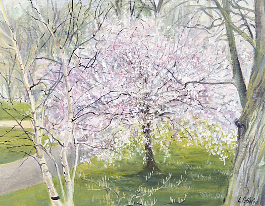 Blossom, St James's Park